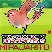 Mi Pajarito