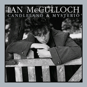 The Ground Below by Ian Mcculloch