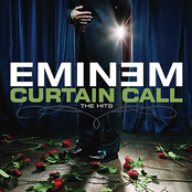 Curtain Call: The Hits