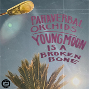 Paraverbal Orchids/Young Moon is a Broken Bone