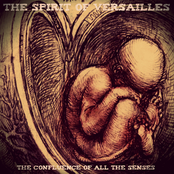 The Spirit of Versailles: The Confluence Of All The Senses