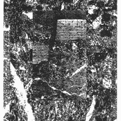 Plastic Rosary Mutation