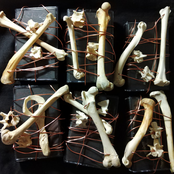 Necromancy Experiments