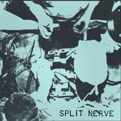 Split Nerve