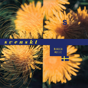 Svenskt (Border Music)