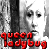 queen ladybug