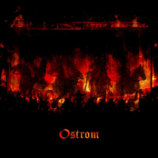 Michelangelo’s Tale