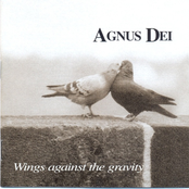 Wings Against The Gravity