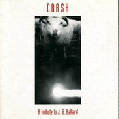 VA/Crash, A Tribute to J.G. Ballard