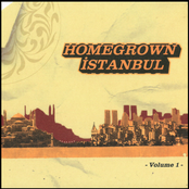 Homegrown Istanbul, Vol. 1
