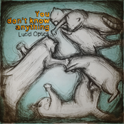 You Don't Know Anything