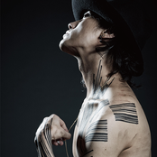 赤西仁 S Lyrics Chords