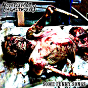 Some Funny Songs