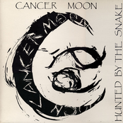 Call It Fear by Cancer Moon