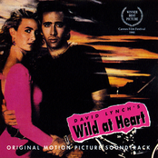 David Lynch's Wild At Heart (Original Motion Picture Soundtrack)