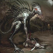The Chupacabra