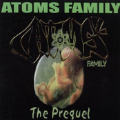 Rhyming For Dummies by Atoms Family