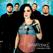 Everybody's Fool (instrumental Version) by Evanescence