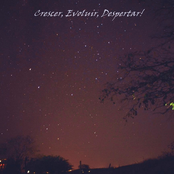 Crescer, Evoluir, Despertar!