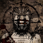 A Catalogue of Madness and Melancholia