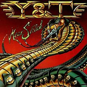 y＆t