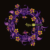 Цветы и Тернии