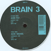 Brain 3 - Acid Fly