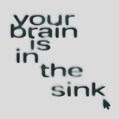 your brain is in the sink