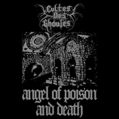 Angel Of Poison And Death