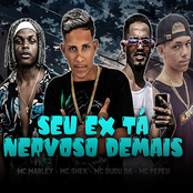 Seu Ex Tá Nervoso Demais (feat. Mc shek) [Brega Funk]