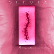 Breve guia para a vida em sociedade