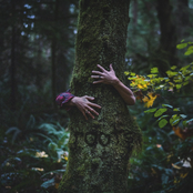 Gavn!: roots