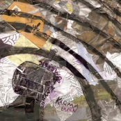 ca053 - Dizzonanz Domestic - Karma Burn