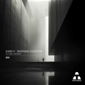 Endophasic Perspective