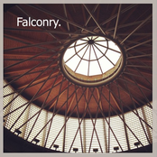 Falconry