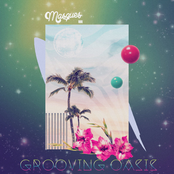 Grooving Oasis