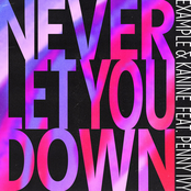 Never Let You Down (feat. Penny Ivy) - Single