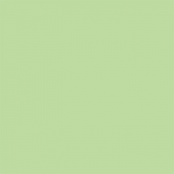 Exporting Insecurity