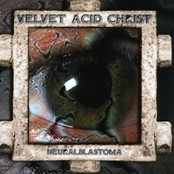 Cyclone Chamber by Velvet Acid Christ