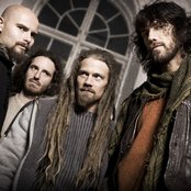 pain of salvation