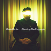 Gavin Harrison: Cheating The Polygraph