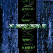 Silicon Skies by Flesh Field