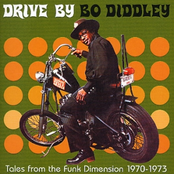 Down On The Corner by Bo Diddley