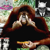 Up Yours (Best Of 2007-2009)