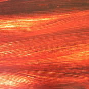 A Prospect Of Freedom