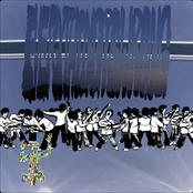 The "Everything Is Wrong" Album