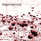Phantom Leaf