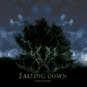 Falling Down Compilation