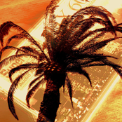 Sunbaked, Pt. 4 / Cat Nap