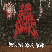 Drilling Your Head